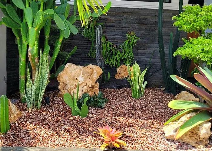 Mimpi Bali